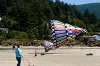 kite festival 1